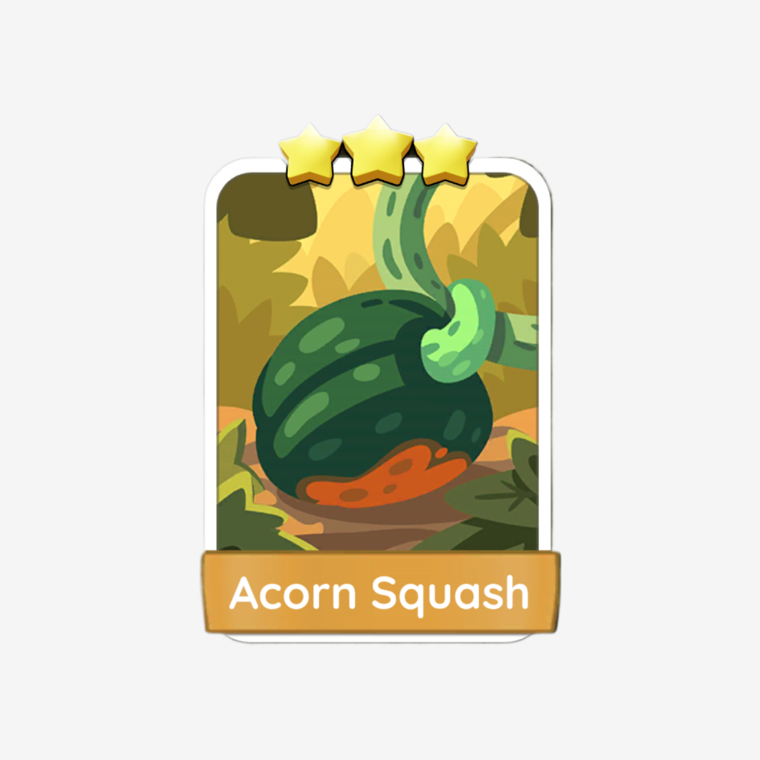 Acorn Squash