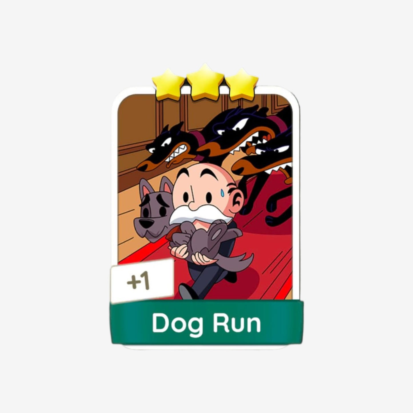 Dog Run