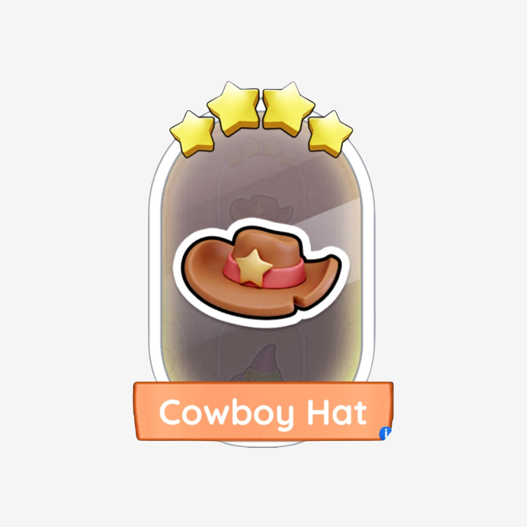 Cowboy Hat