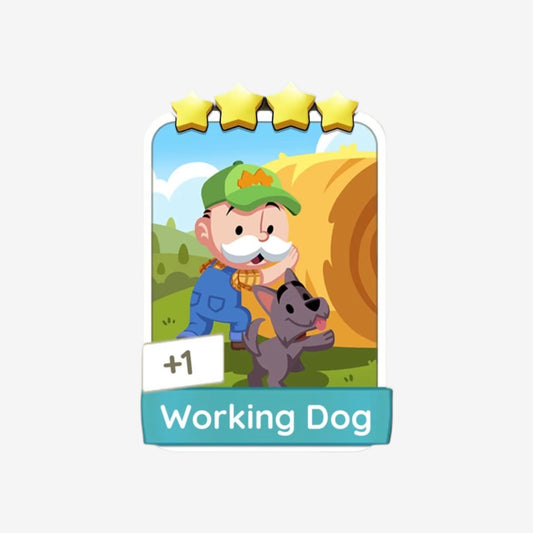 Working Dog