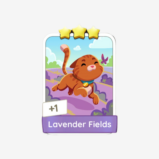 Lavender Fields
