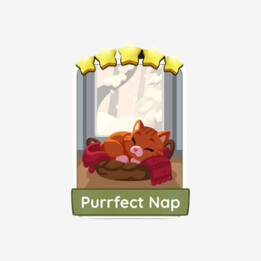 Purrfect Nap