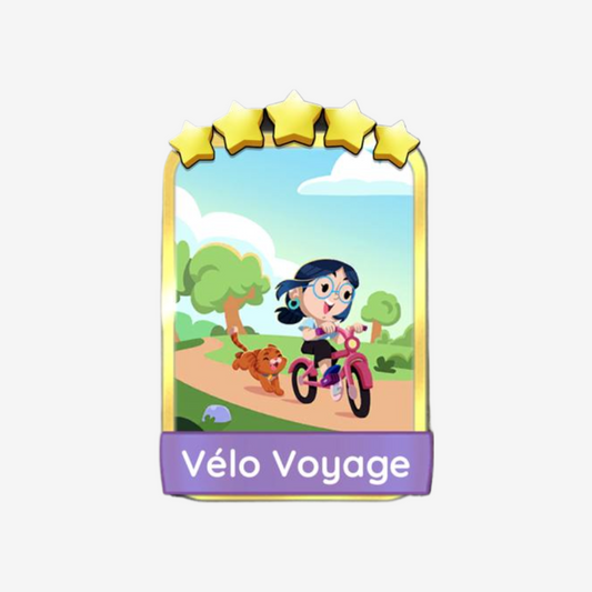 Vélo Voyage