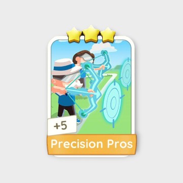 Precision Pros